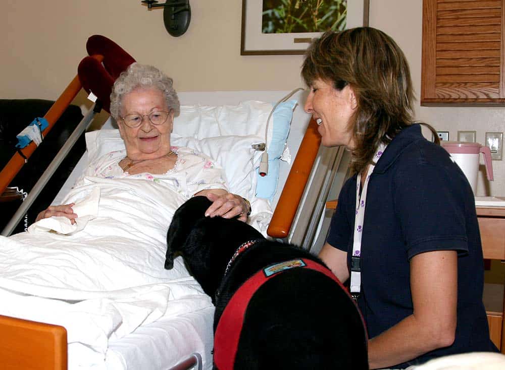 Alzheimer’s Treatment