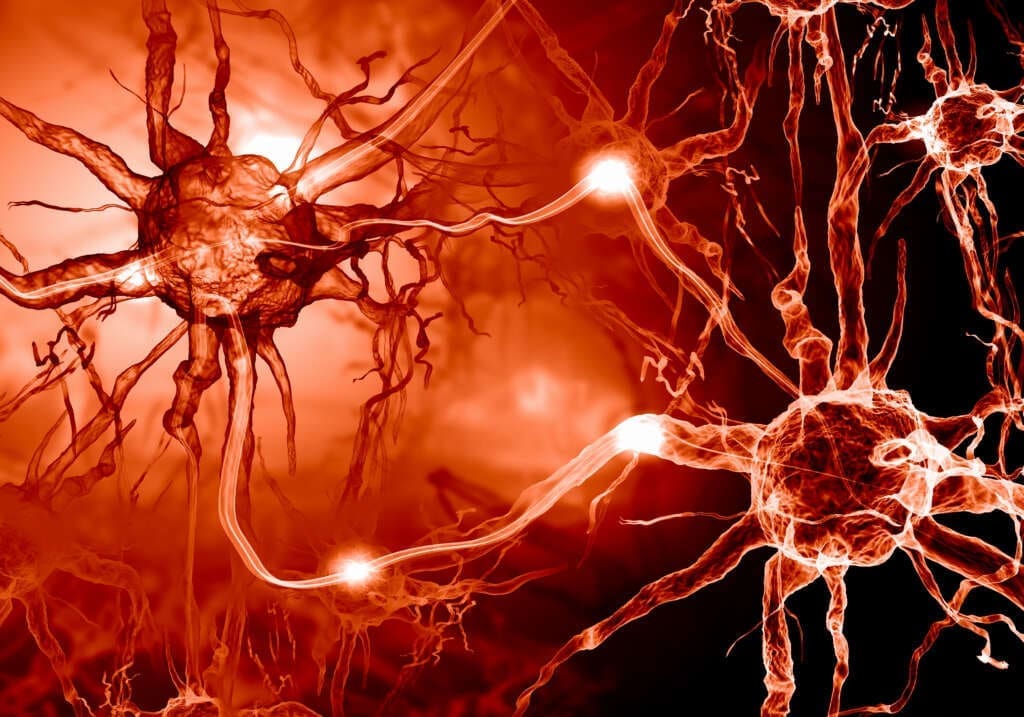 WHAT CAUSES ALZHEIMER’S?