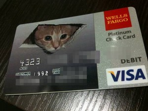 Cat.Credit Card