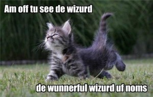 Cat.Wizard