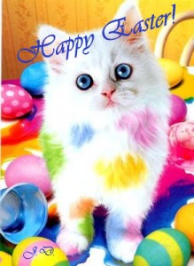 easter-cat[1]