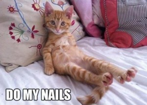 Cat.Nails