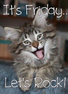 cat.Friday.lets rock
